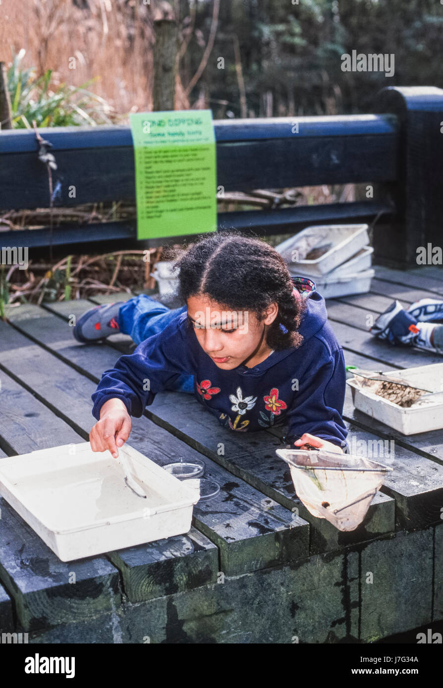 BAME child pond dipping, Camden Natural Park run by London Wildlife Trust, London, United Kingdom Stock Photo