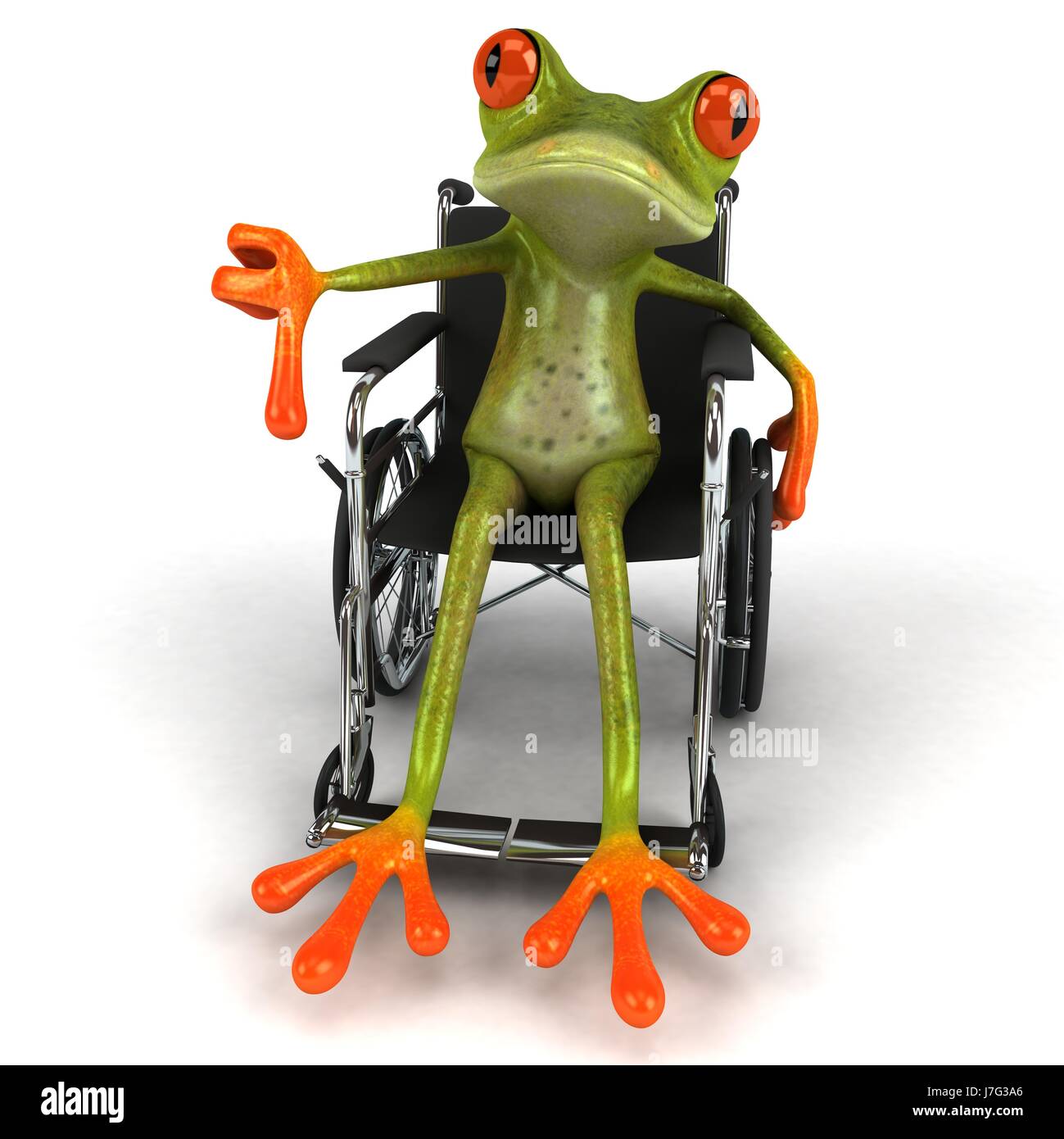 wheelchair animal frog ecology disability handicap nature green wheelchair  Stock Photo - Alamy