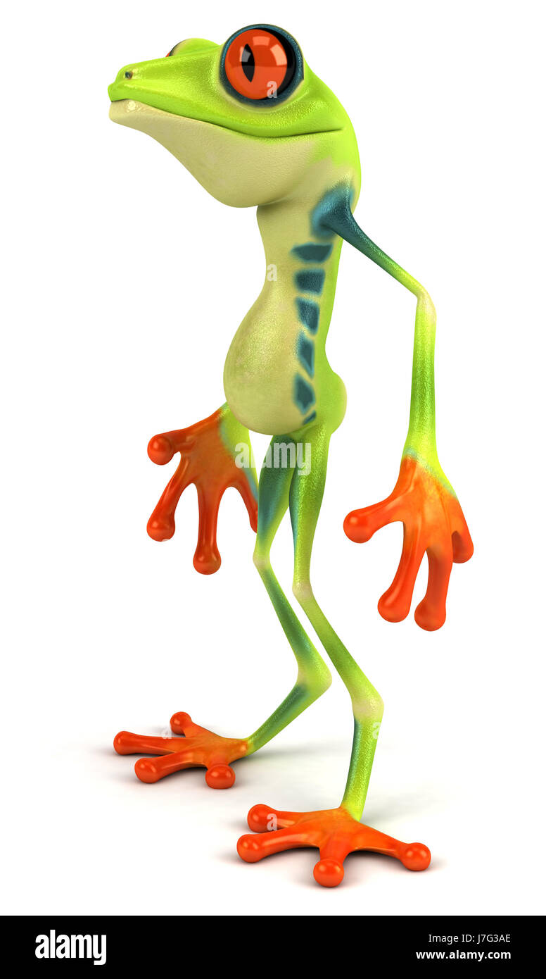 environment enviroment animal frog ecology toad nature green