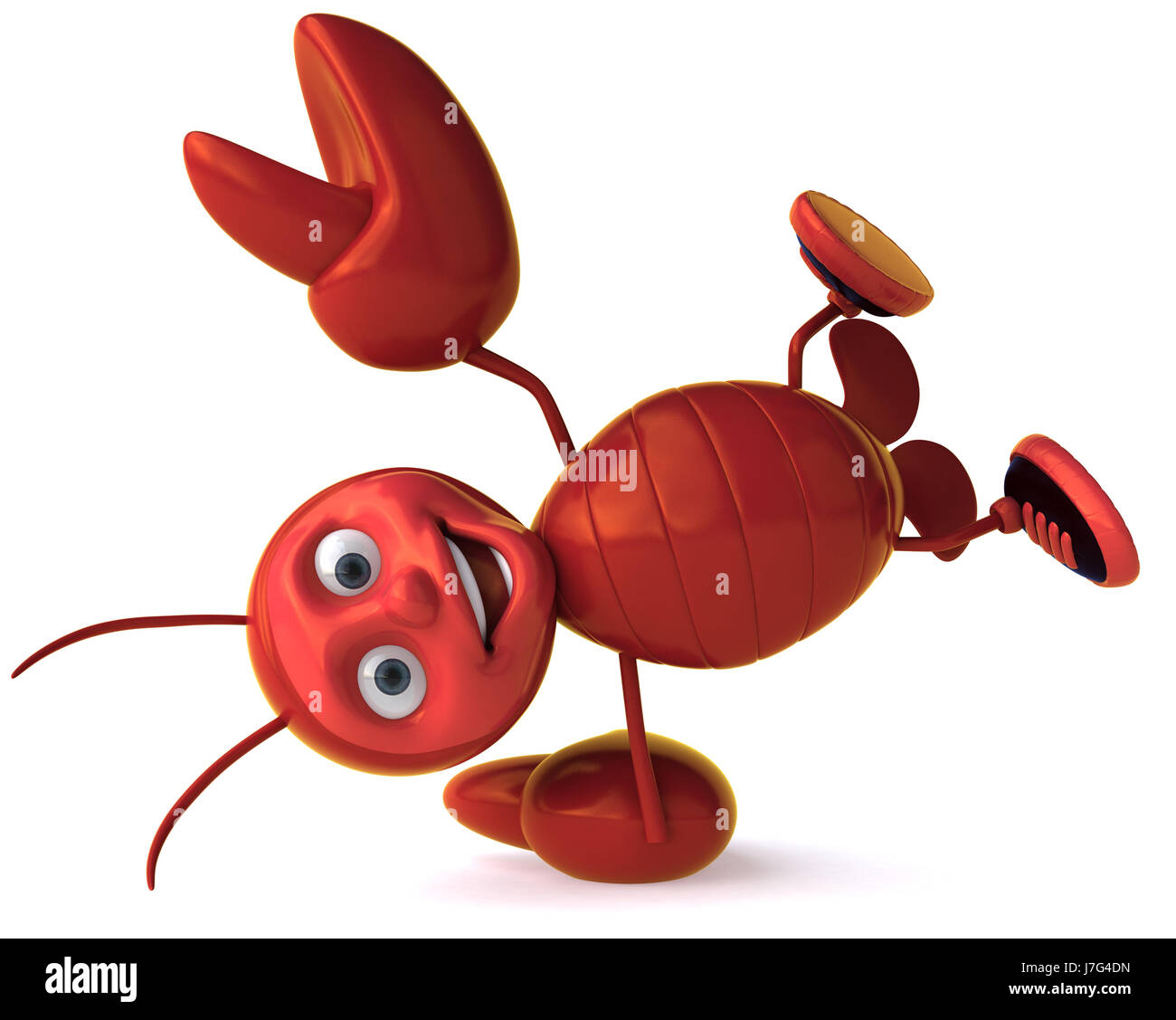 restaurant food aliment isolated animal shell underwater shrimp fishing