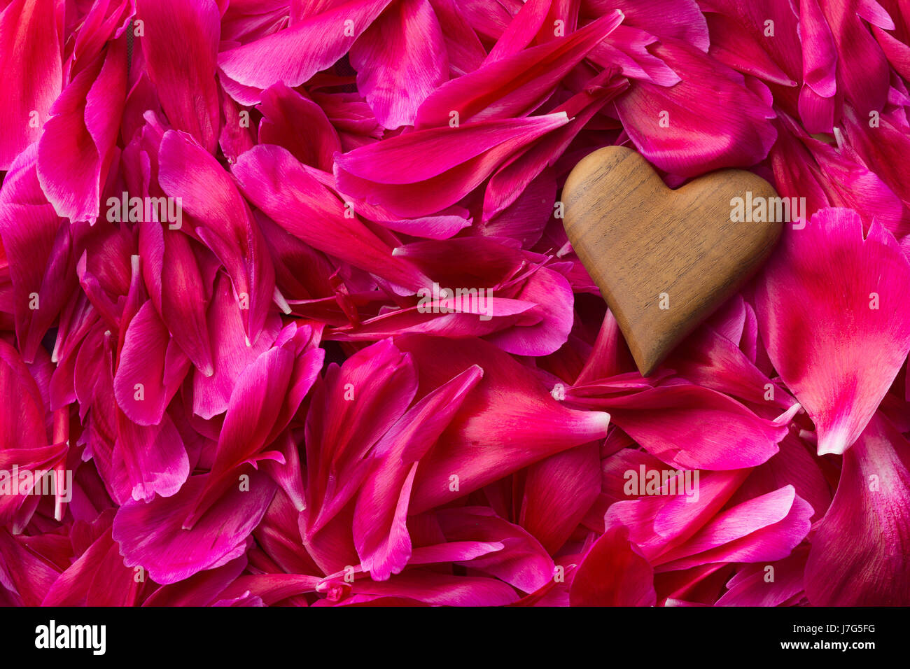 The heart on peony petals background. Love concept. Top view. Stock Photo