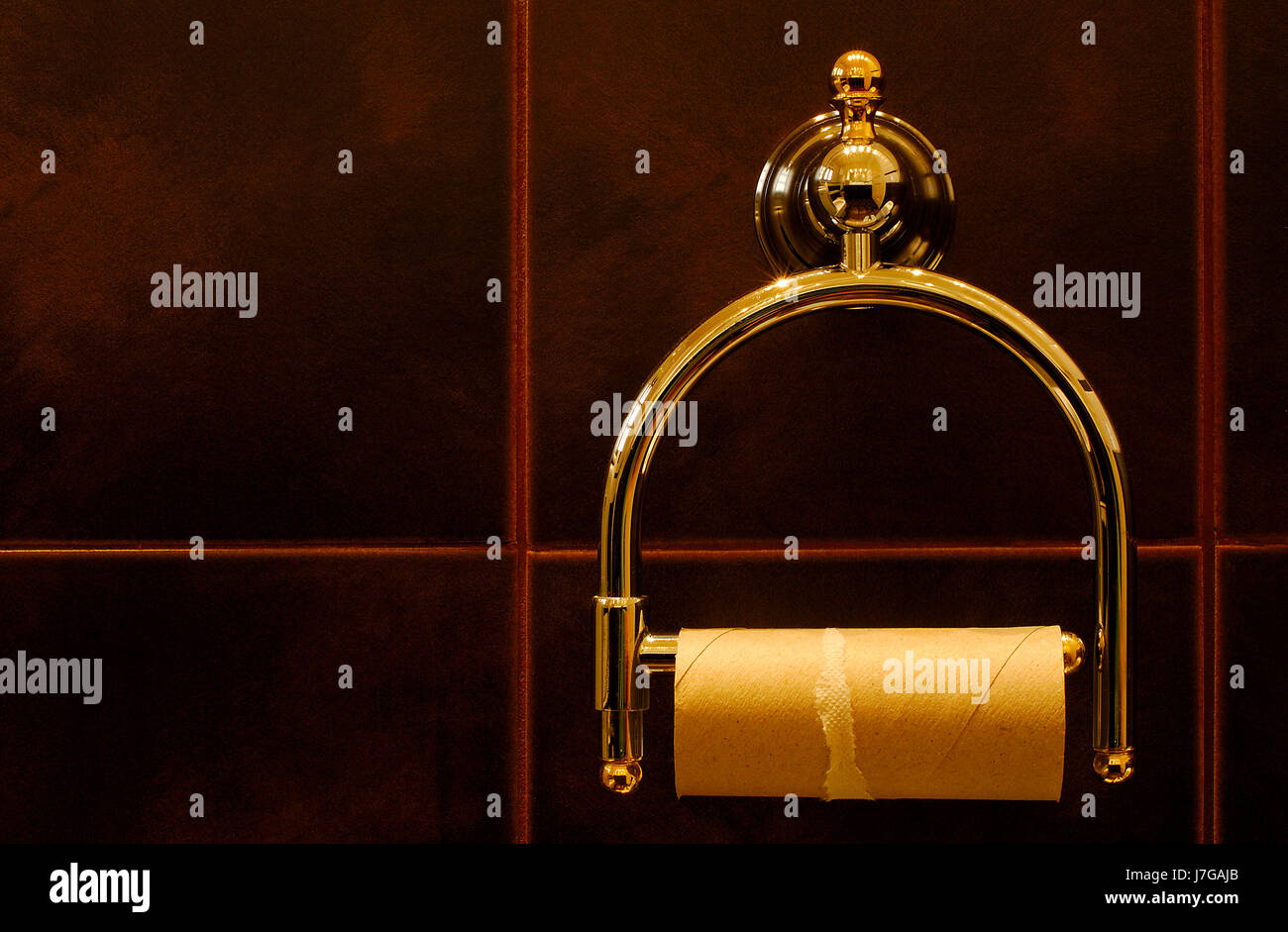 frustration toilet despair bathroom sheet of paper paper roll detail