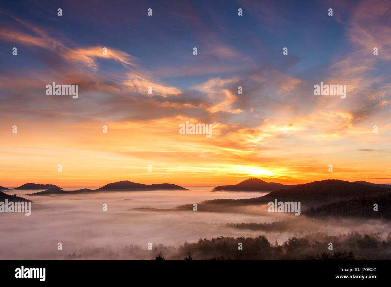 Pfälzer Wald, Fog, Sunrise, Palatinate, Rhineland-Palatinate, Germany Stock Photo