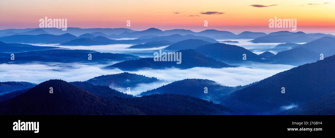 Pfälzer Wald, Fog, Sunrise, Palatinate, Rhineland-Palatinate, Germany Stock Photo