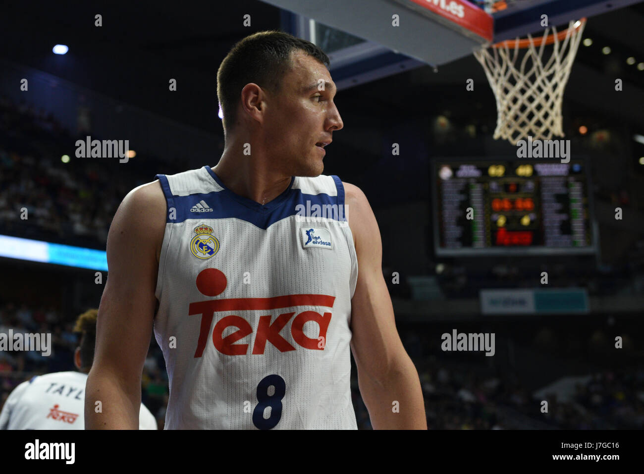Madrid, Spain. 24th May, 2017. Jonas Maciulis, #8 of Real Madrid pictured during the first game of the quarter final of basketball Endesa league between Real Madrid and Morabanc Andorra Credit: Jorge Sanz/Pacific Press/Alamy Live News Stock Photo