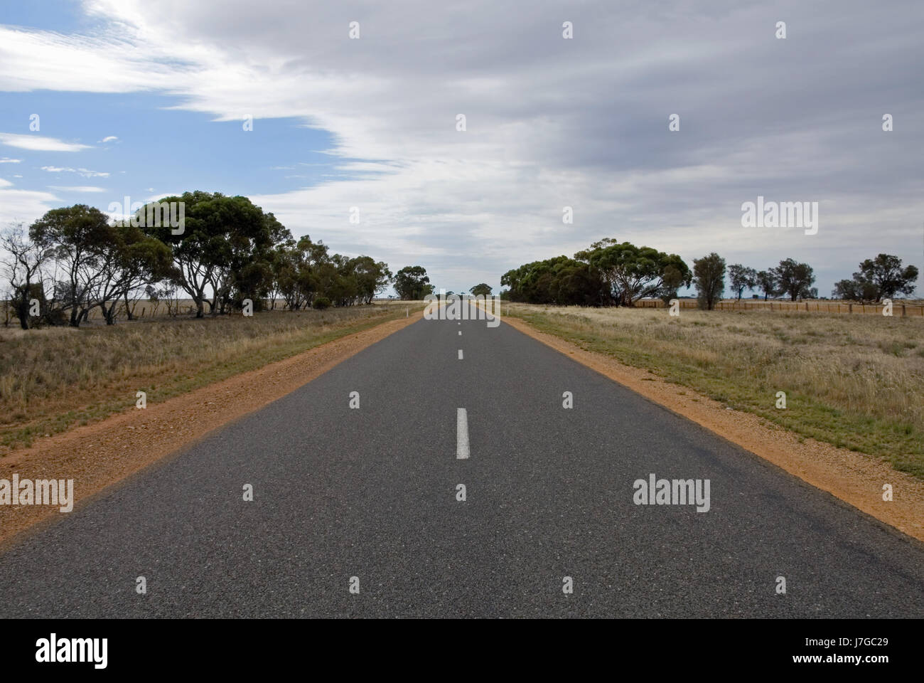 Horizon Line With Tree Example travel isolated tree trees horizon lines australia asphalt outdoor ...