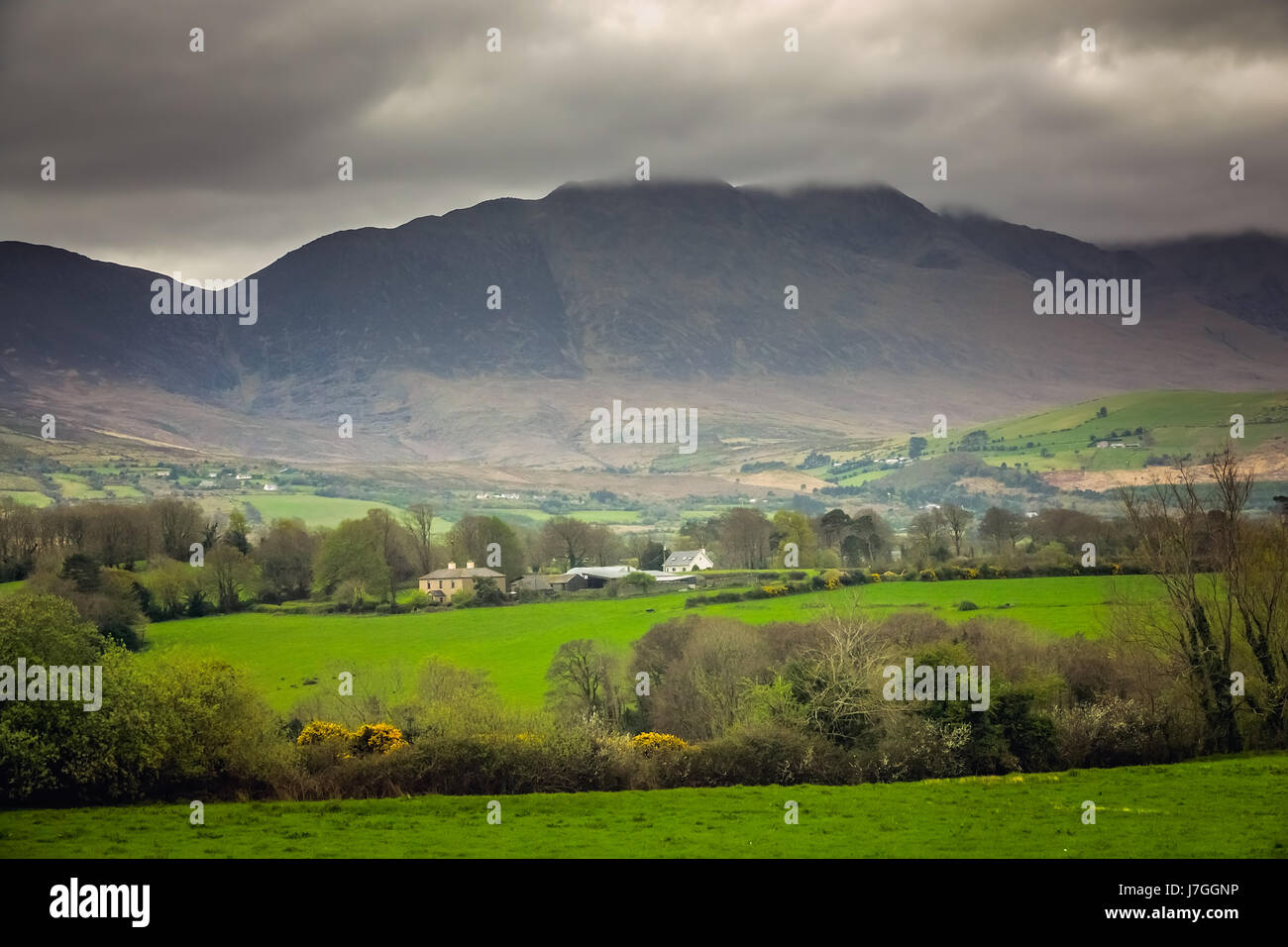 Farm and fields in the rural Irish landscape, Kerry county, Ireland Stock Photo