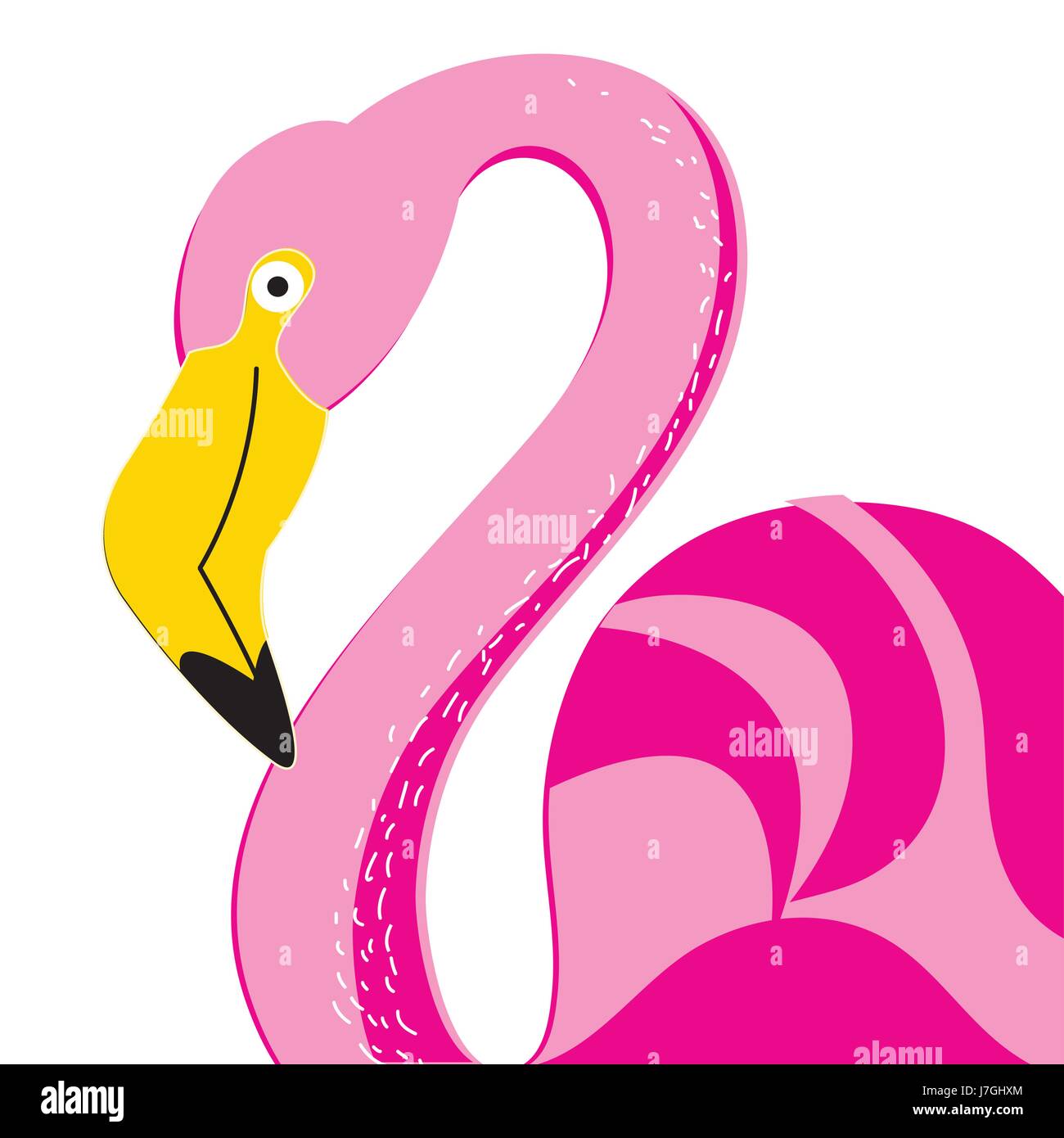 Vector portrait of a pink flamingo on a white background Stock Vector ...