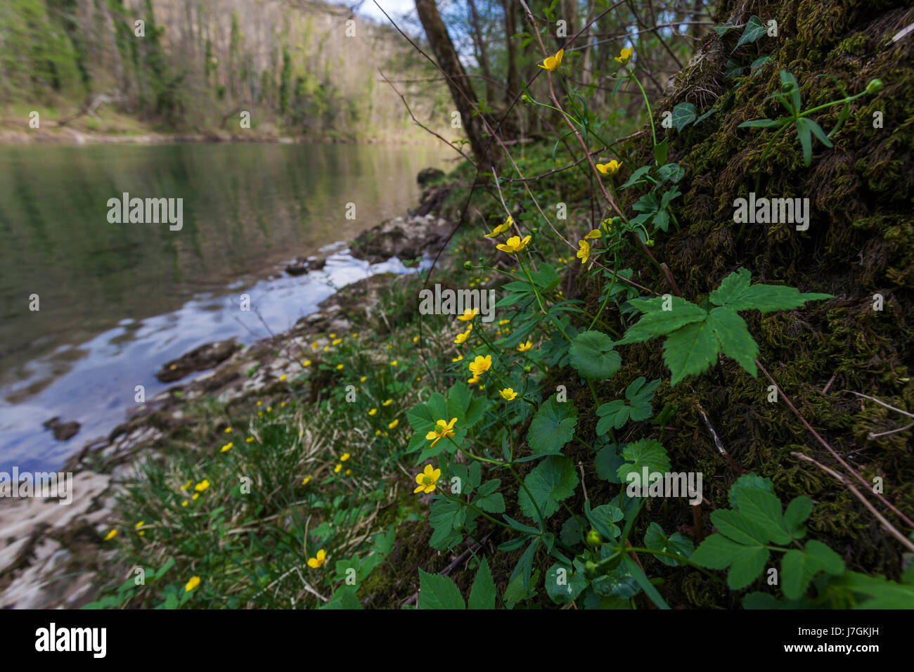 Early spring on Kolpa/Kupa River Stock Photo