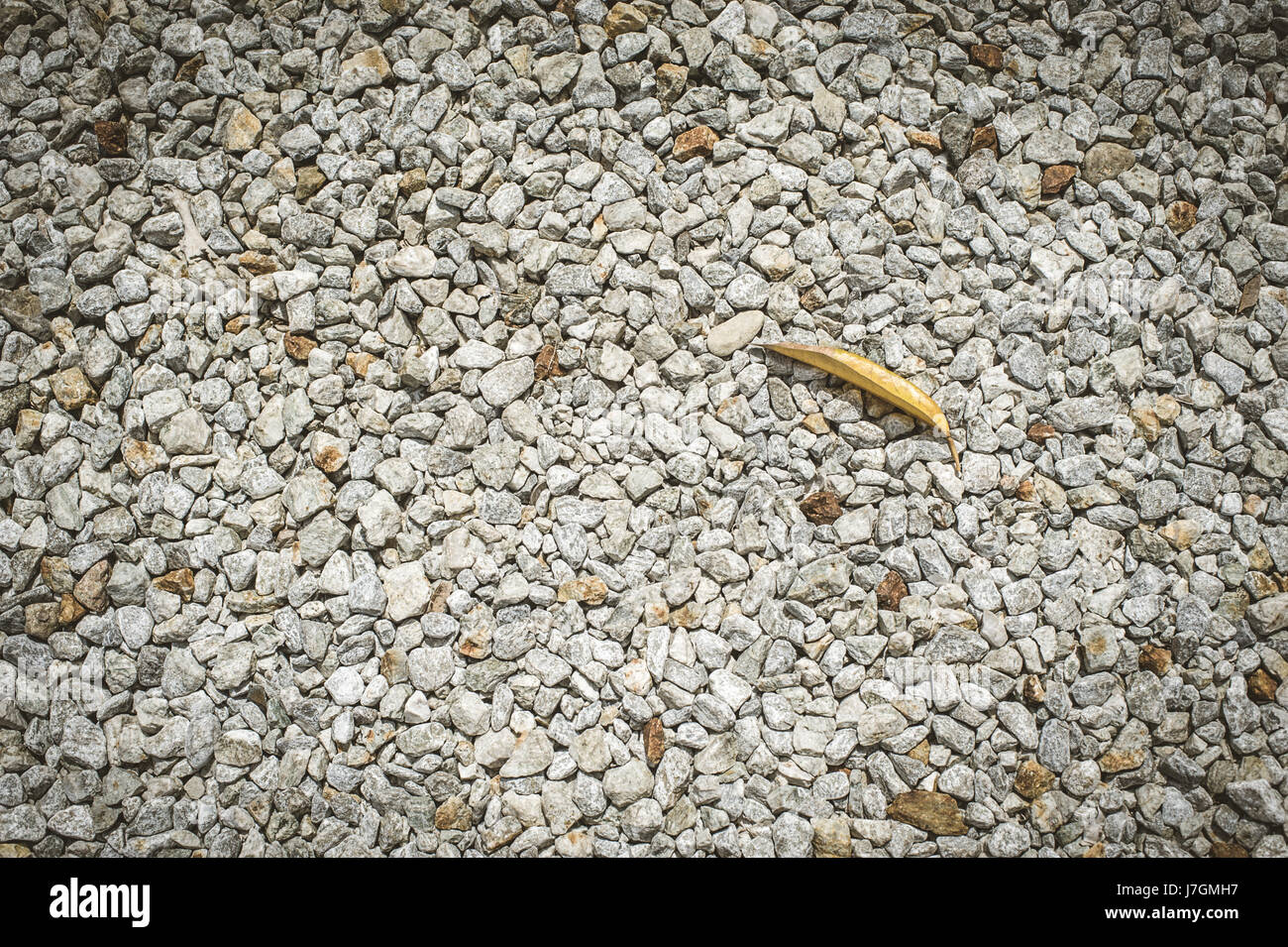 pebbles background on the garden ground Stock Photo - Alamy