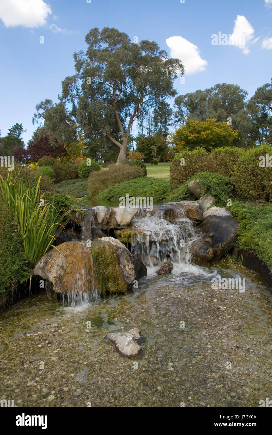 colour tree trees garden flower flowers plant flora stream australia waterfall Stock Photo