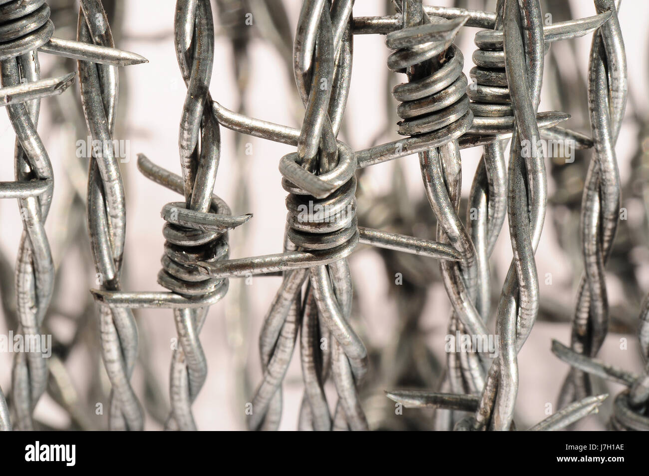 danger prickle wire barbed wire safeguard hurt lock prickle brig jail