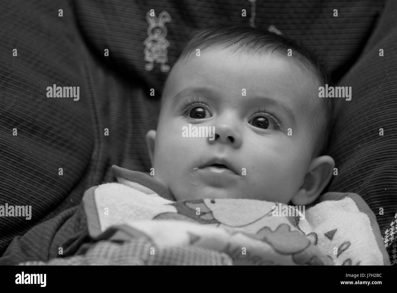 closeup blank european caucasian baby childhood delighted unambitious Stock Photo