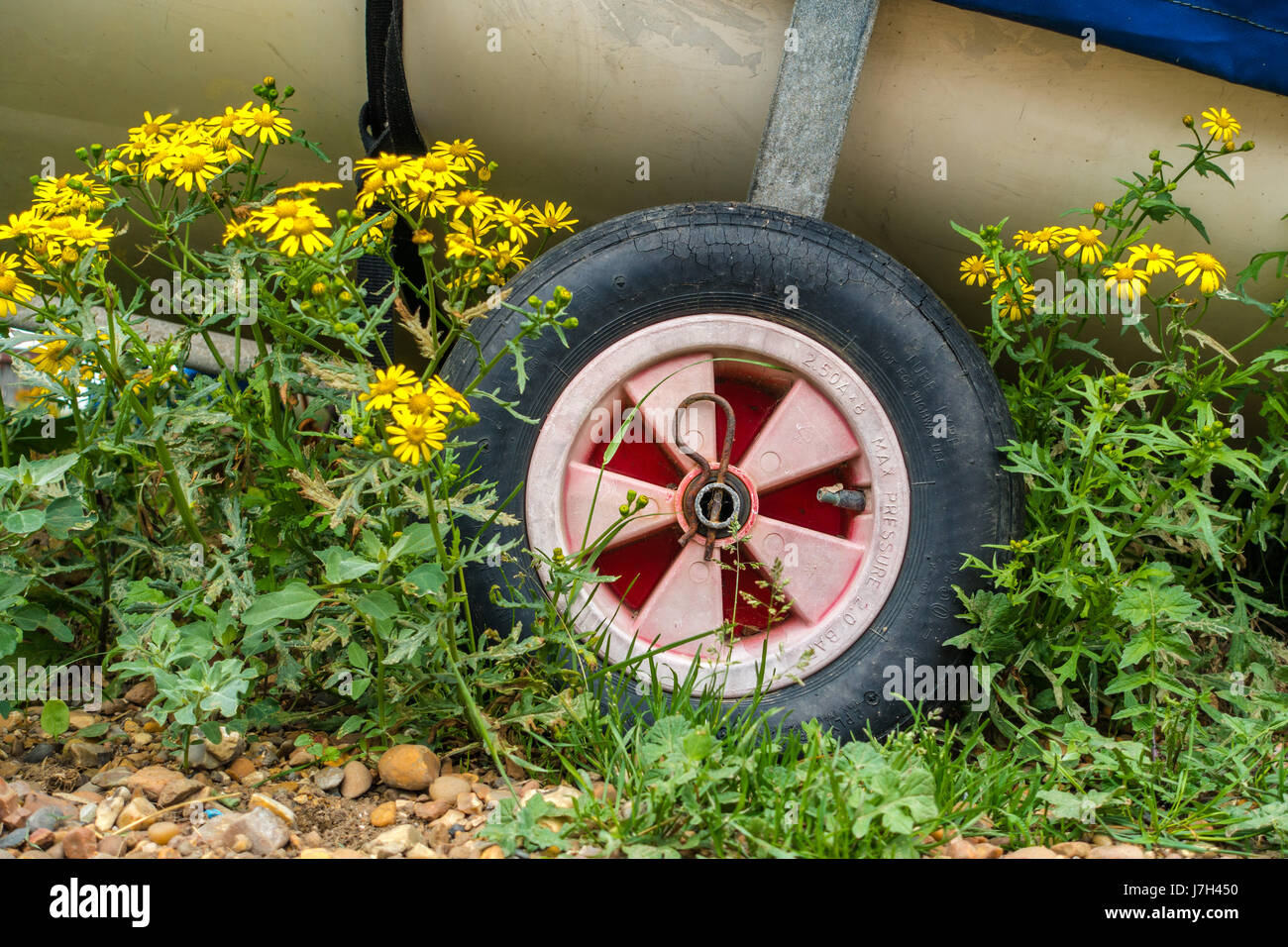 The wheels of a boat trailer with a boat strapped in. Flowers and beach