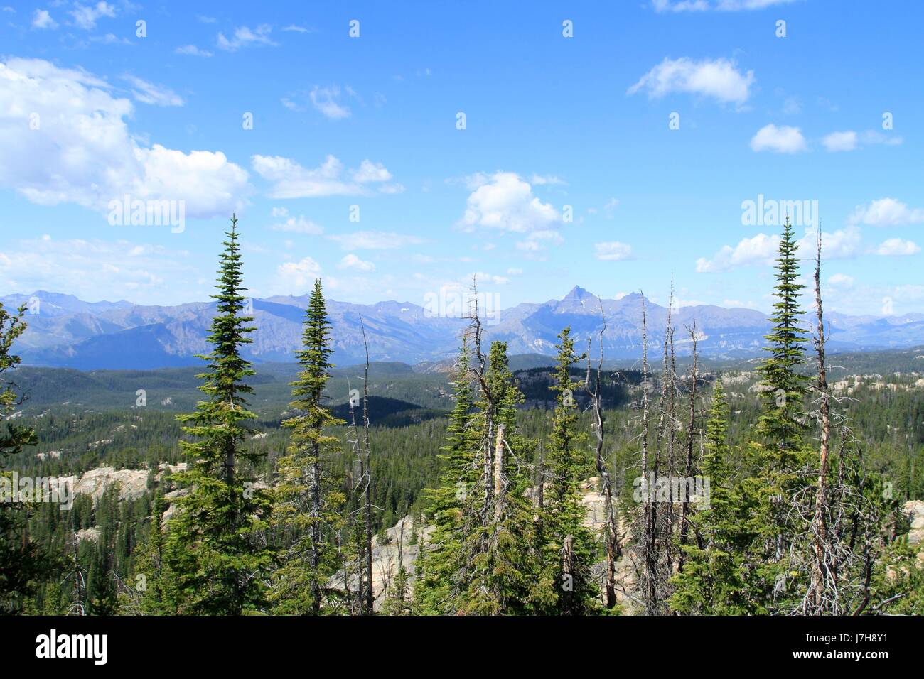 Beartooth Mountains scene, Montana Stock Photo