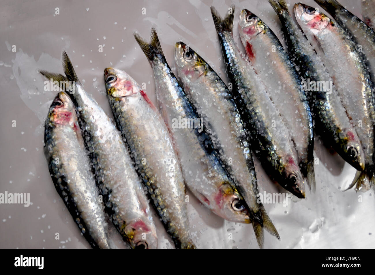 Fresh sardines with salt Stock Photo Alamy