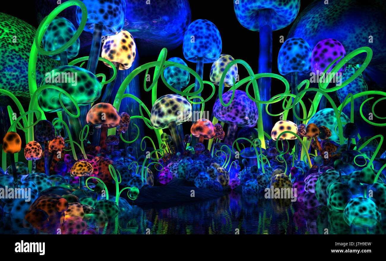 Bioluminescent mushrooms hi-res stock photography and images - Alamy