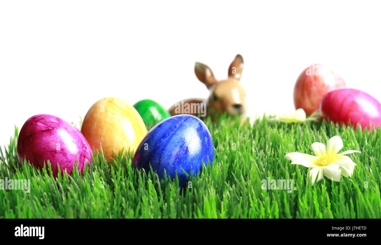 green grass with easter eggs and bunny Stock Photo - Alamy