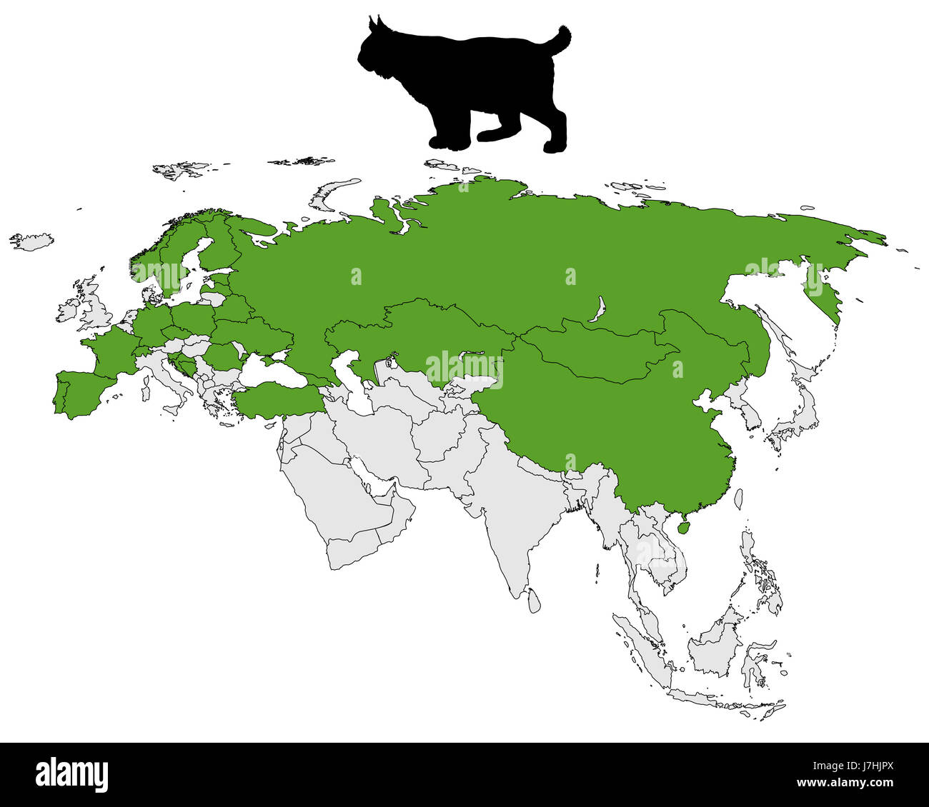 lynx distribution map Stock Photo Alamy
