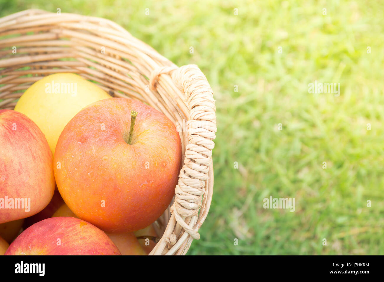 Apples in wicker basket on grass Stock Photo - Alamy