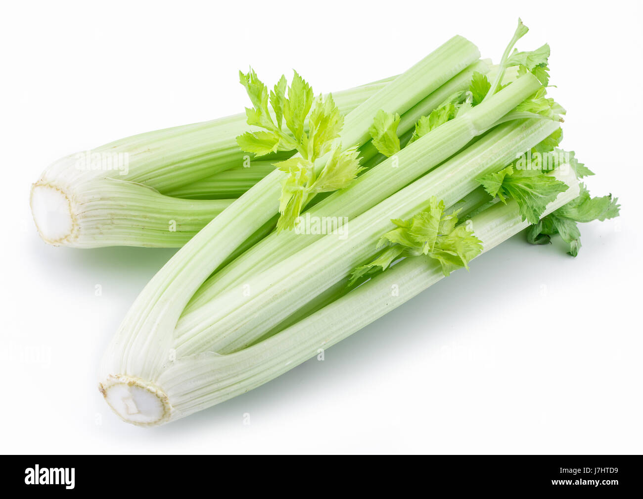 Fresh green leaf stalks of celery. Isolated on a white background. Stock Photo