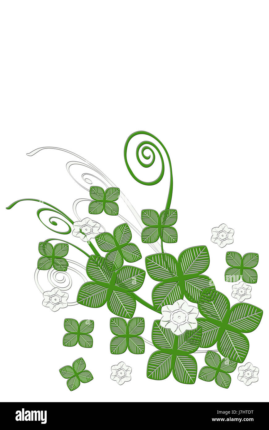 green clover cloverleaf shamrocks symbolic graphic green flower flowers plant Stock Photo