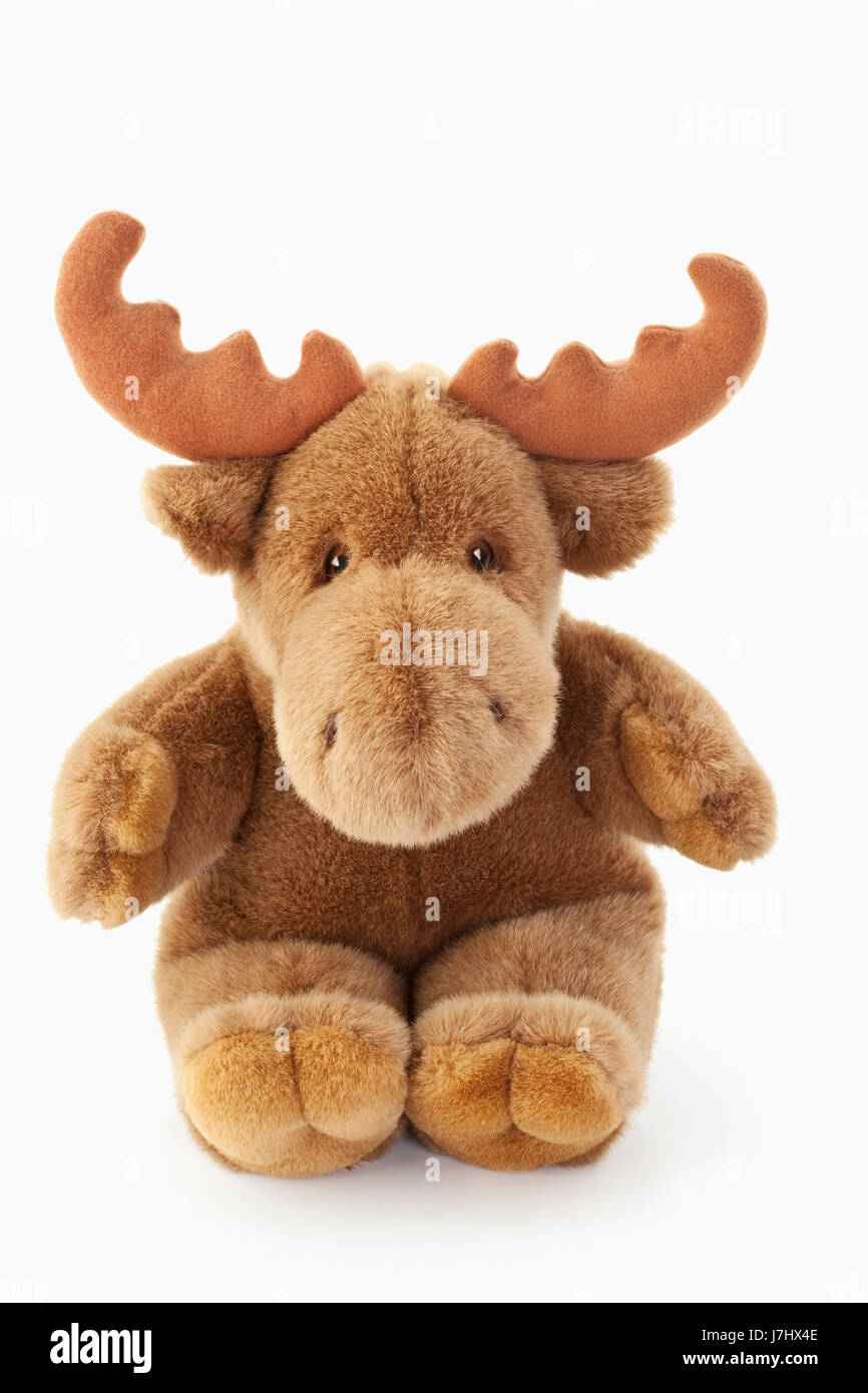 moose stuffed animal Stock Photo - Alamy