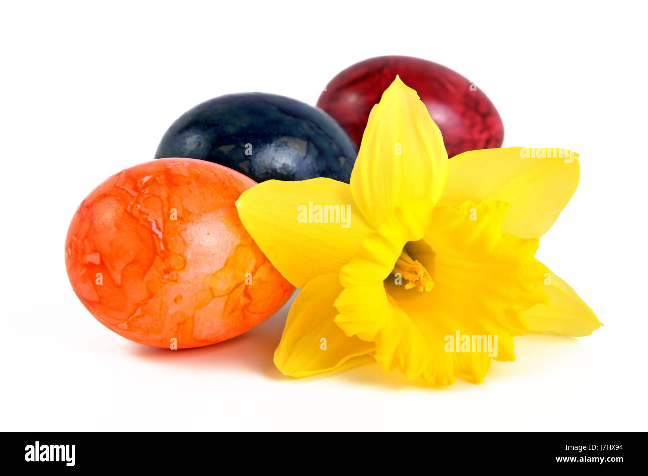 easter eggs with daffodil Stock Photo
