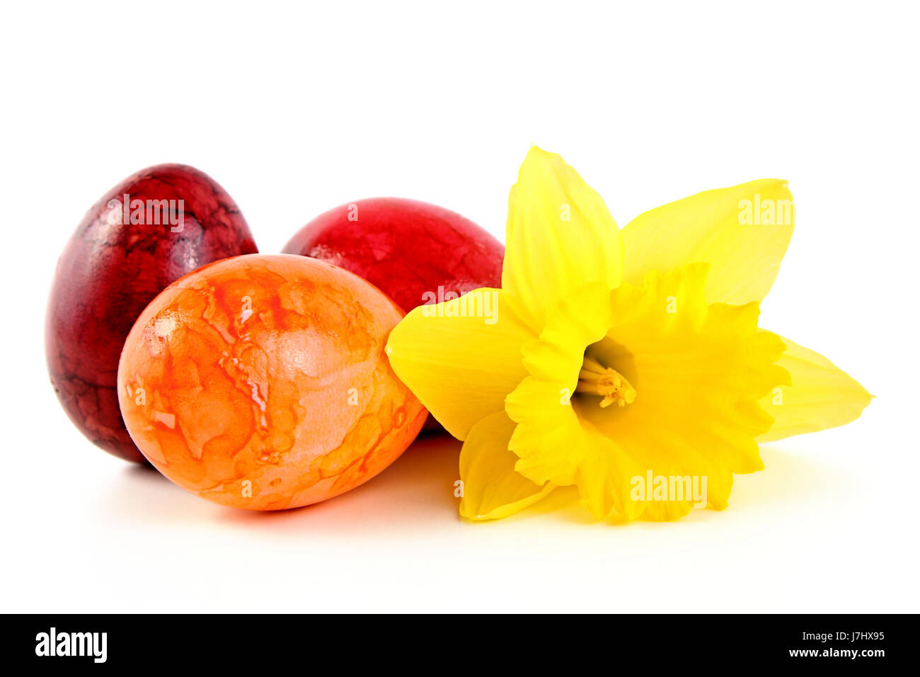 easter eggs with daffodil Stock Photo