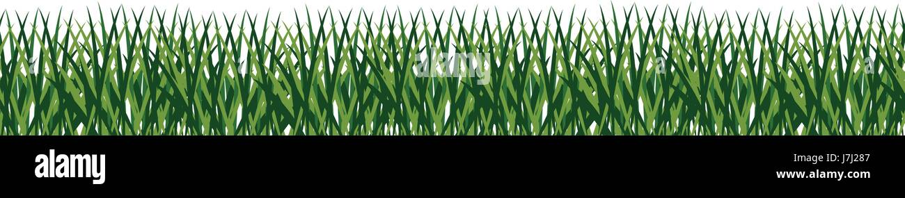 fresh green grass field vector illustration Stock Vector Image & Art ...