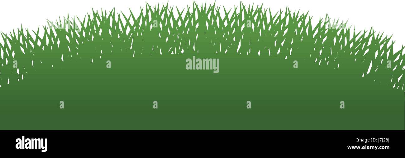 fresh green grass field vector illustration Stock Vector Image & Art ...
