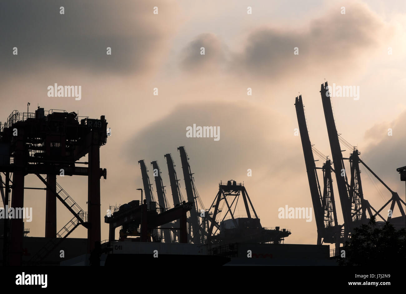 Silhouettes of container cranes at port at sunset Stock Photo