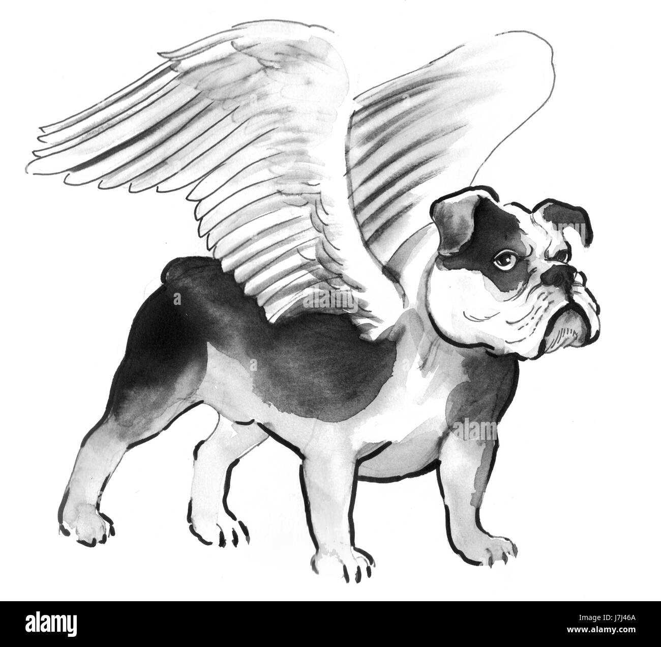 Dog with Angel Wings Vector Images (over 120)
