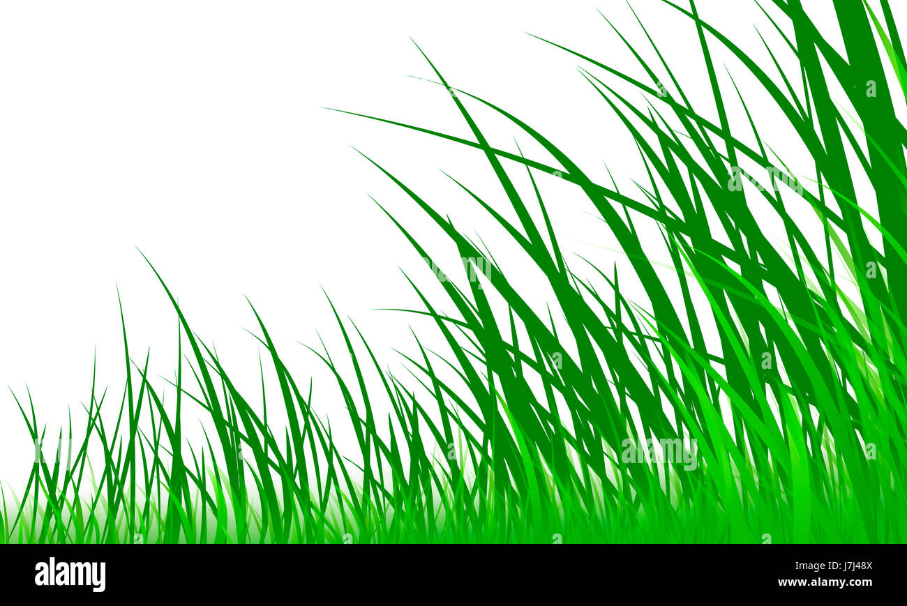 optional graphic blades of grass blade of grass grass area of freedom pale  Stock Photo - Alamy