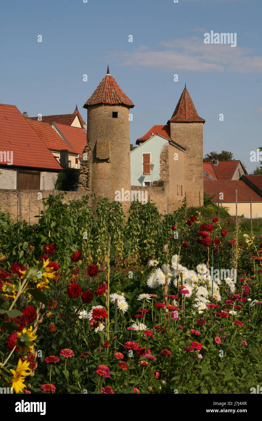 garden flower flowers plant blossoms gardens bleed germany german ...