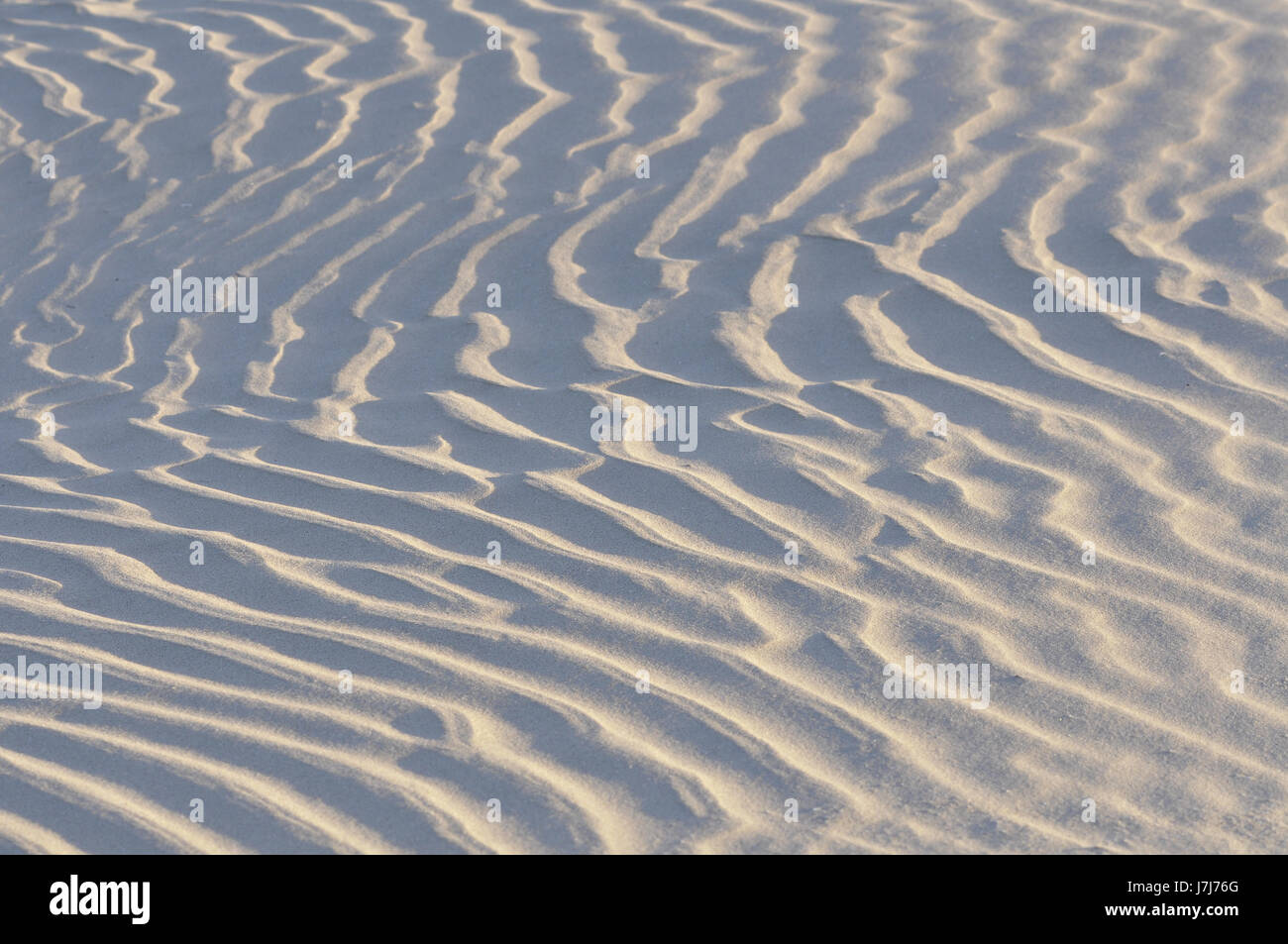 Beach Seaside The Beach Seashore Waves Structure Backdrop Background Beach Seaside The Beach Seashore Waves Structure Backdrop Background