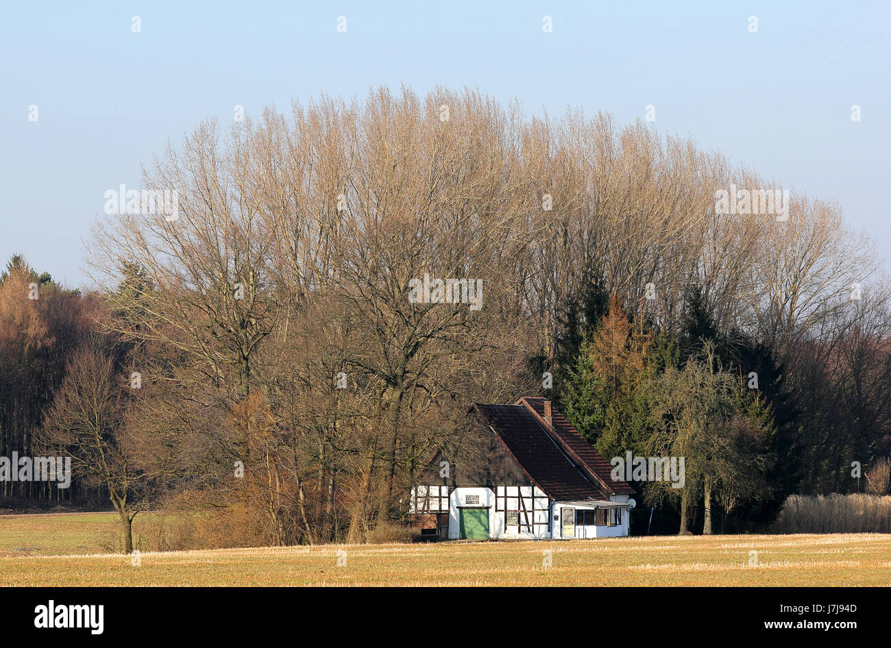 tree beam field clump of trees frame-work stubble field grove house building Stock Photo