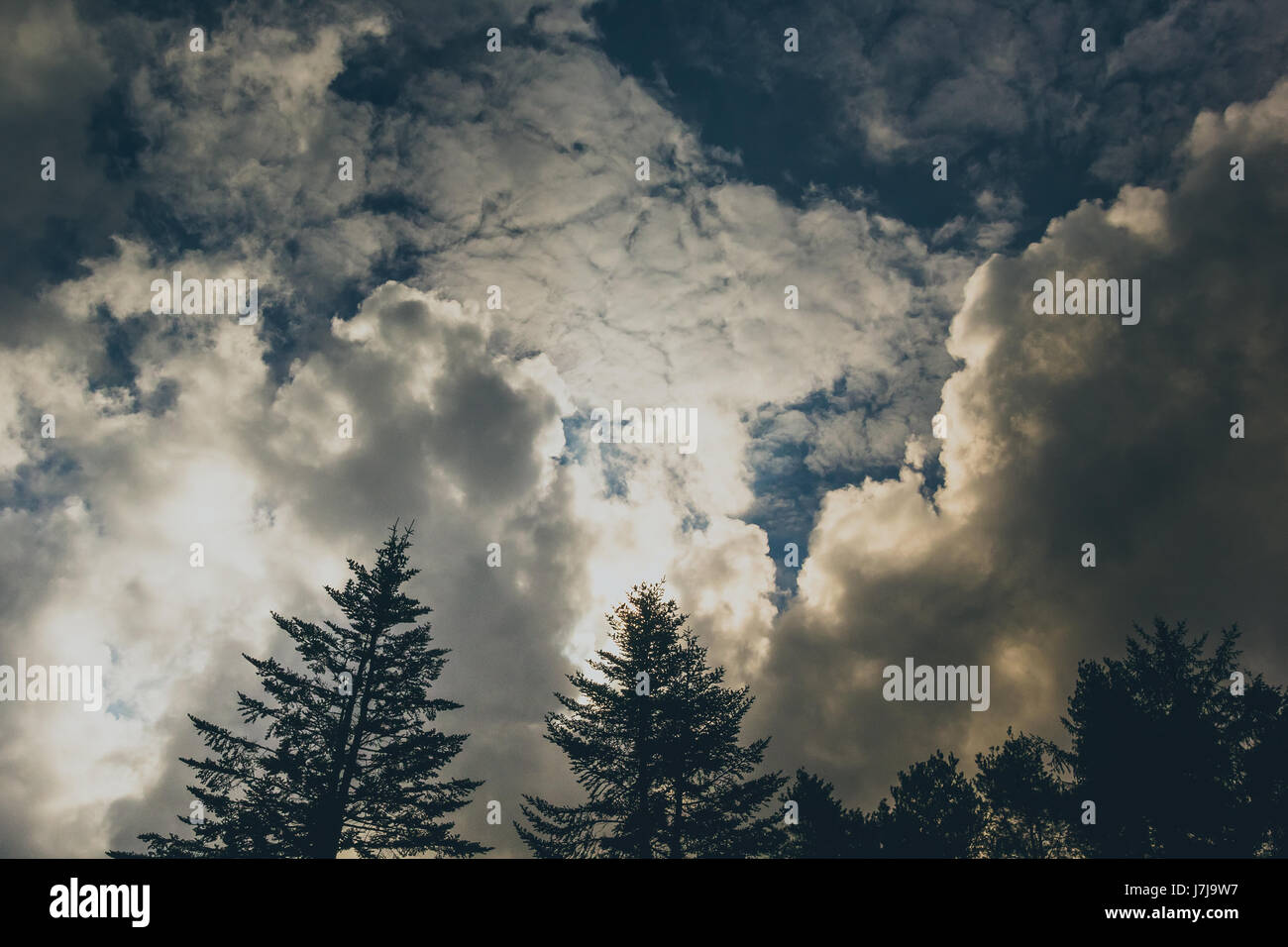 dramatic sky with clouds and silhouettes of trees Stock Photo - Alamy