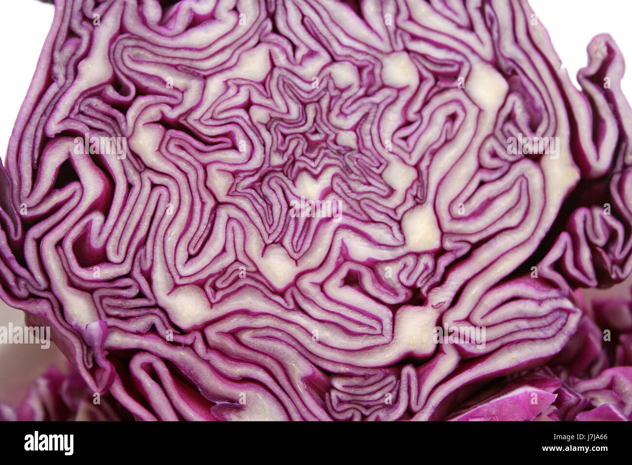 food aliment vegetable cabbage red cabbage red food aliment health vitamins Stock Photo