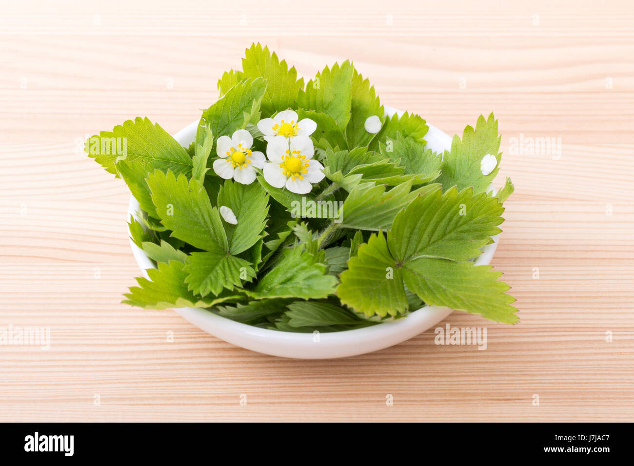 Fresh leaves and flowers of the Wild strawberry Stock Photo - Alamy