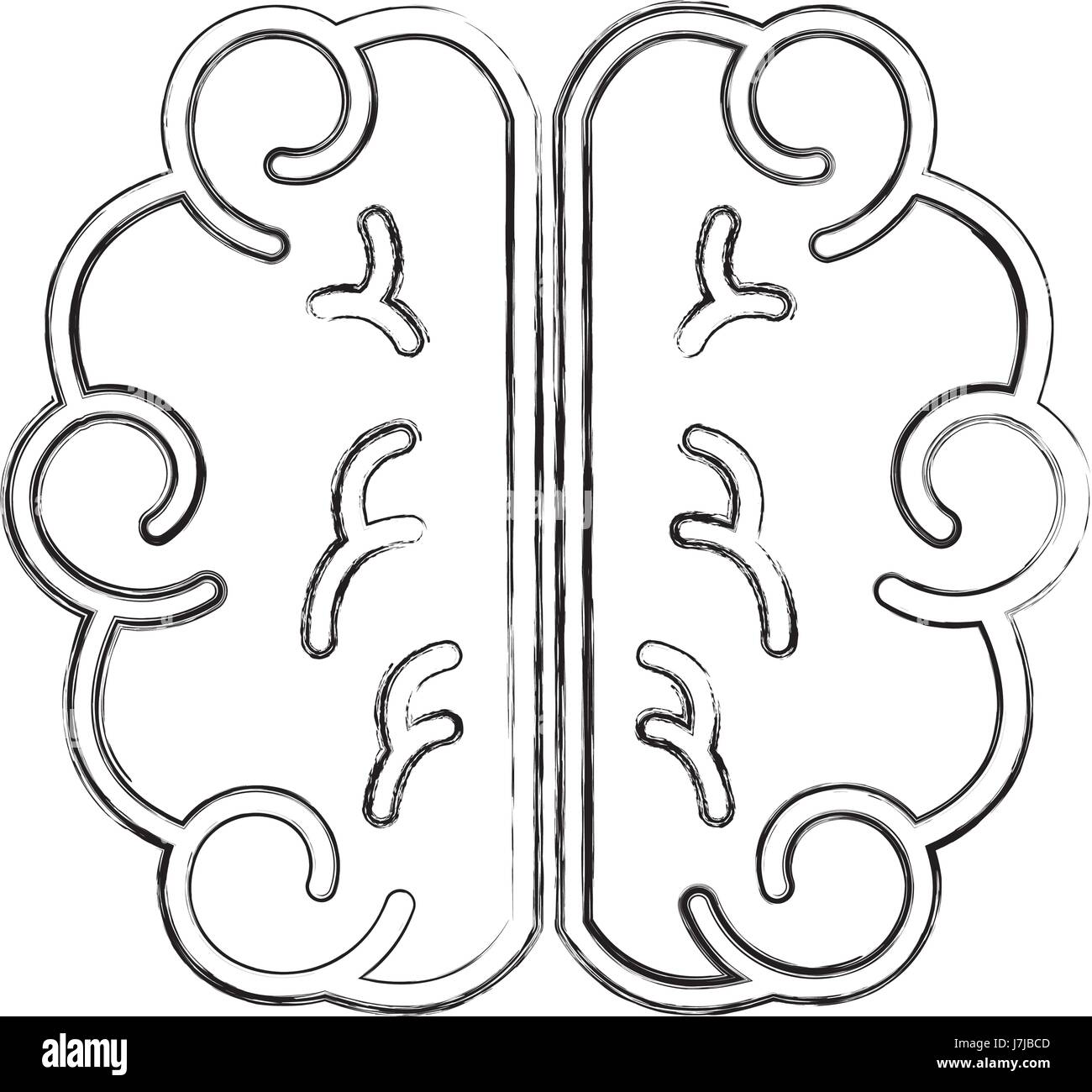 brain human isolated icon Stock Vector Image & Art - Alamy
