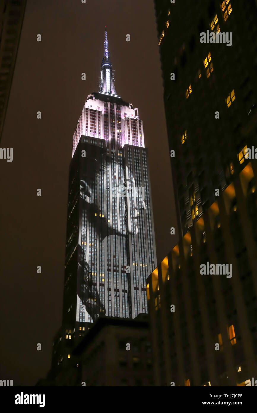 New York’s iconic skyline sparkled even more than usual when the most ...