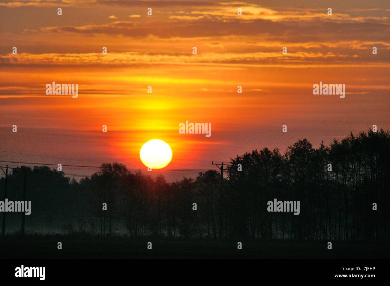 Sunrise and trees Stock Photo - Alamy