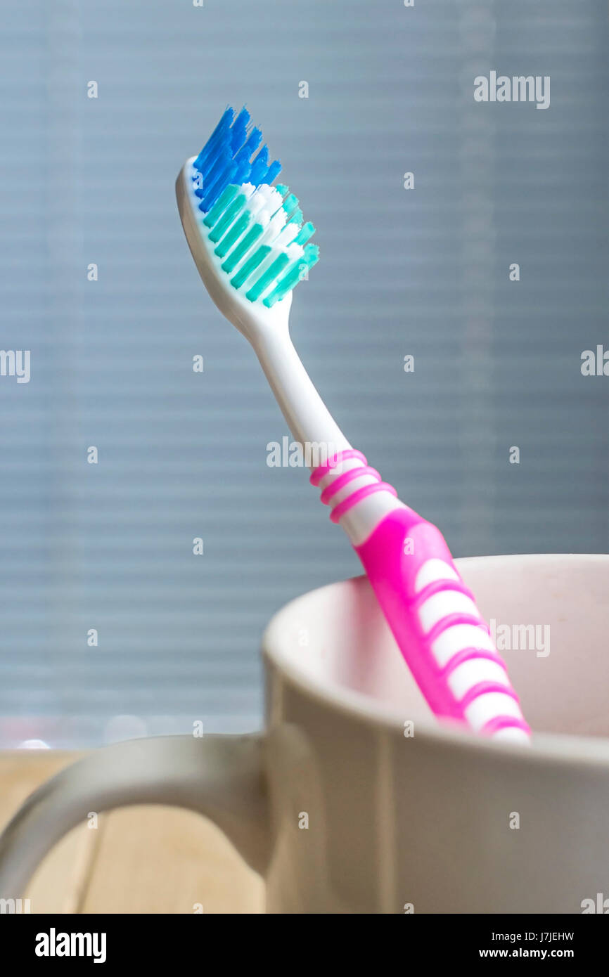 Toothbrush Cup Stock Photos & Toothbrush Cup Stock Images Alamy