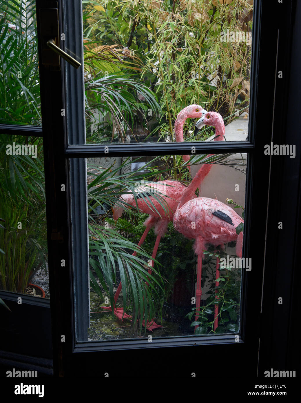Pink flamigoes and lush greenery on balcony through French doors of salon Stock Photo