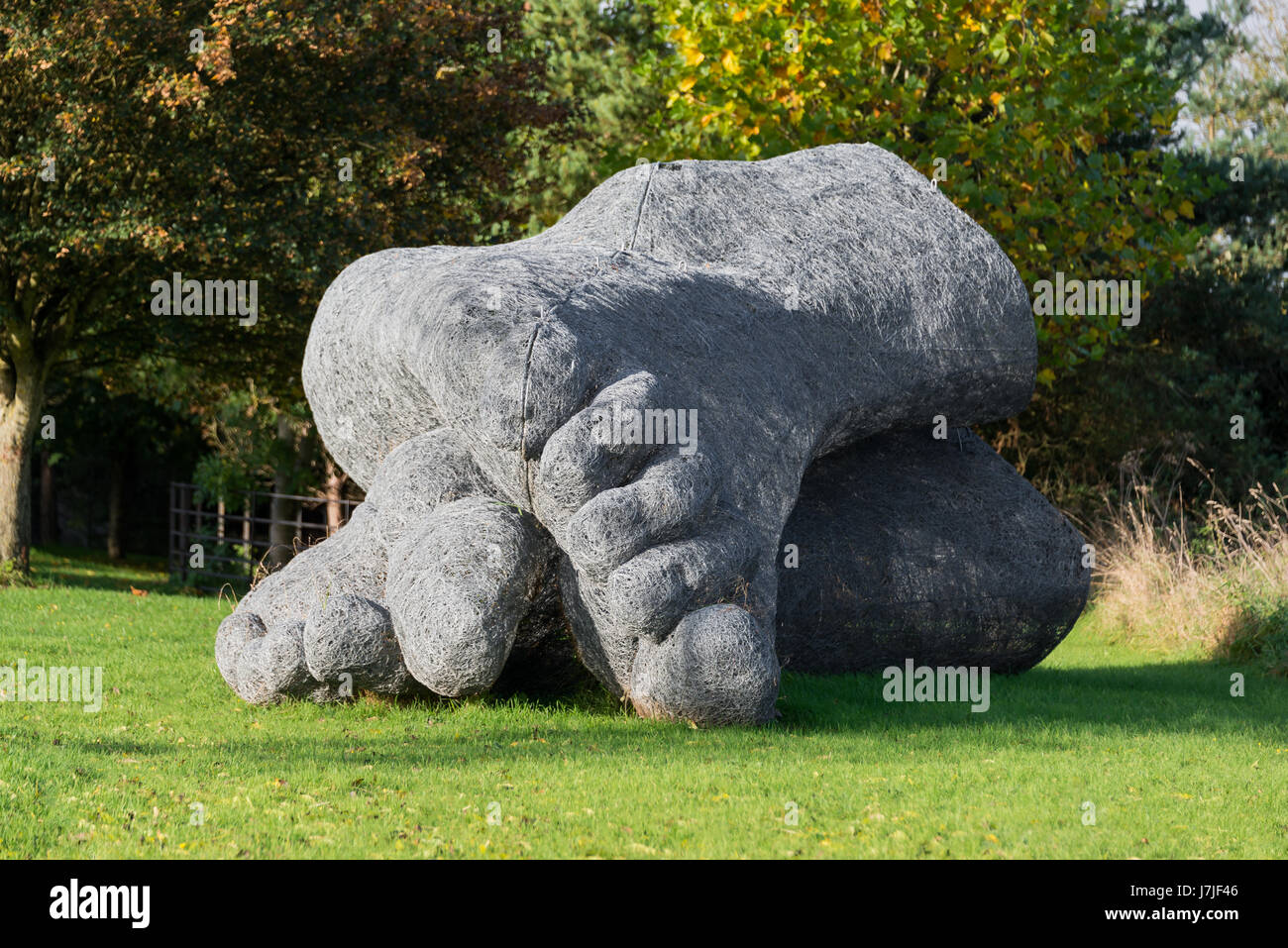 Large pair of feet sculpted by Sophie ryder Stock Photo