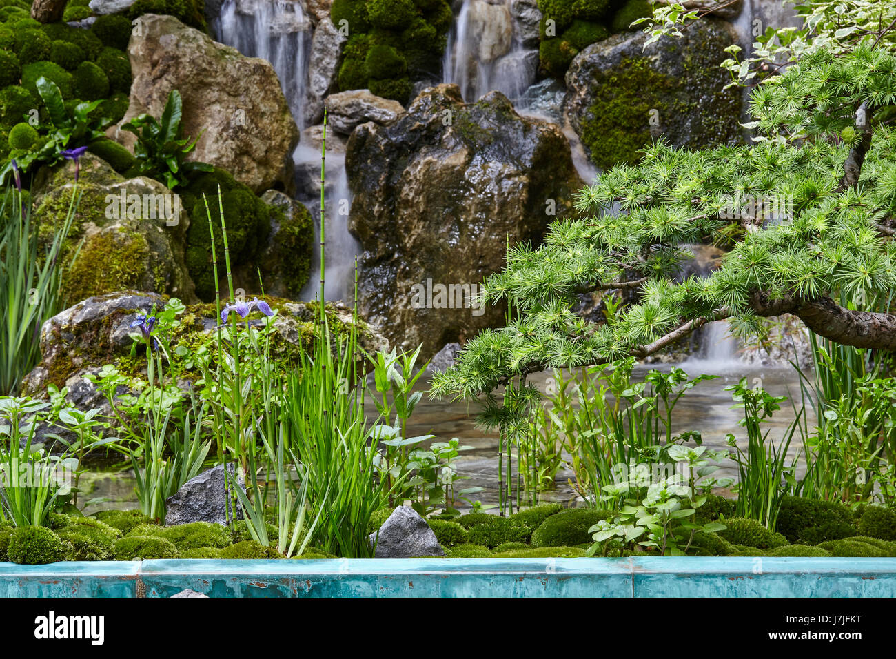 Chelsea flower show glass hi-res stock photography and images - Alamy