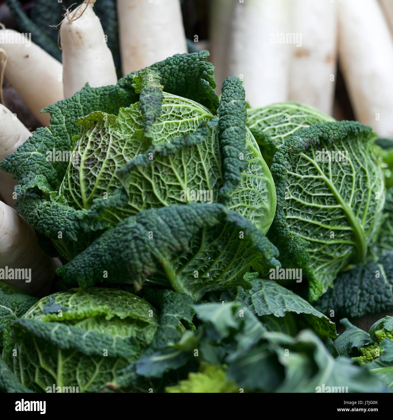 Savoy cabbage and turnips on the farm market Stock Photo Alamy
