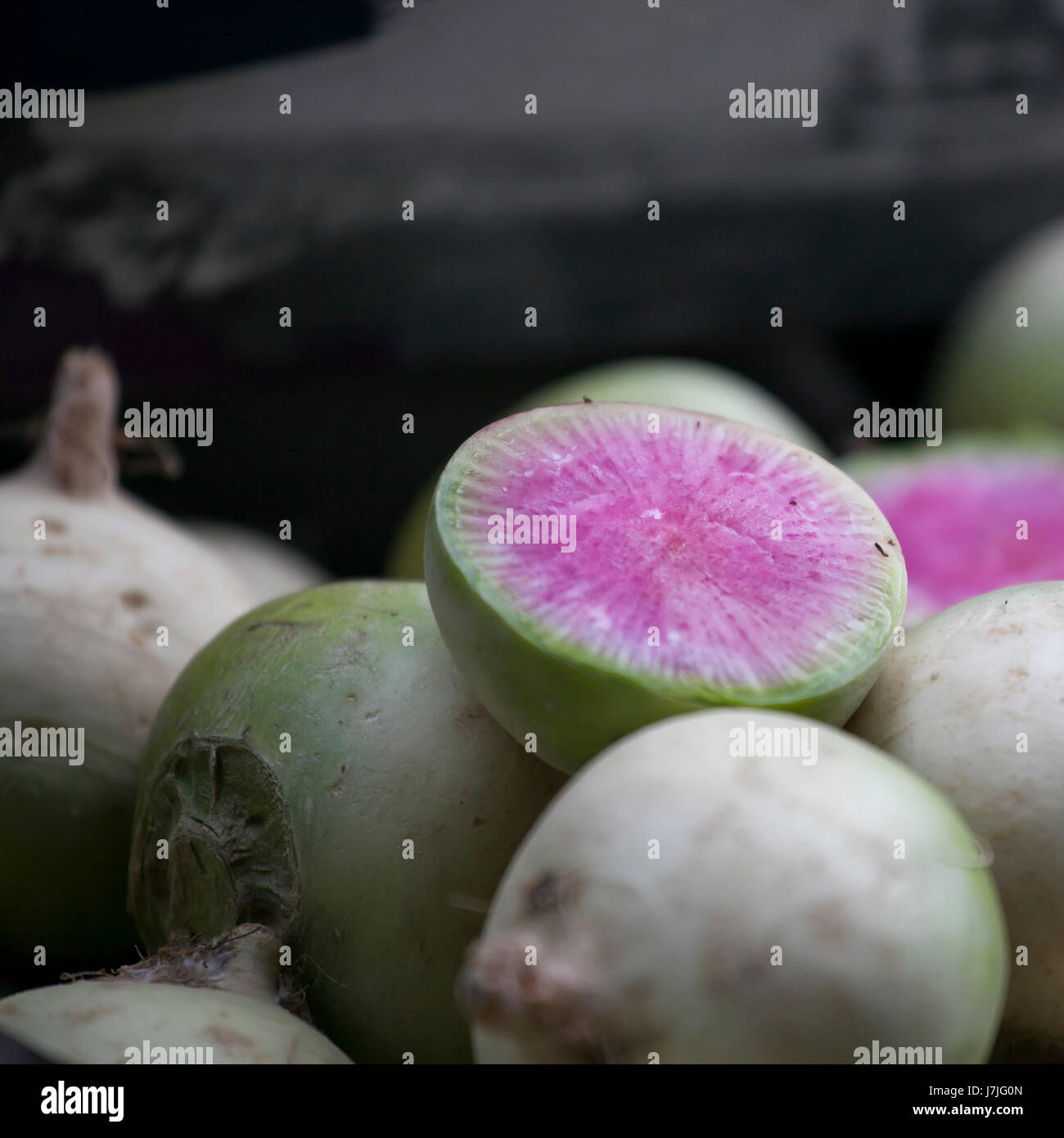 Garden radish raphanus sativus var niger hires stock photography and