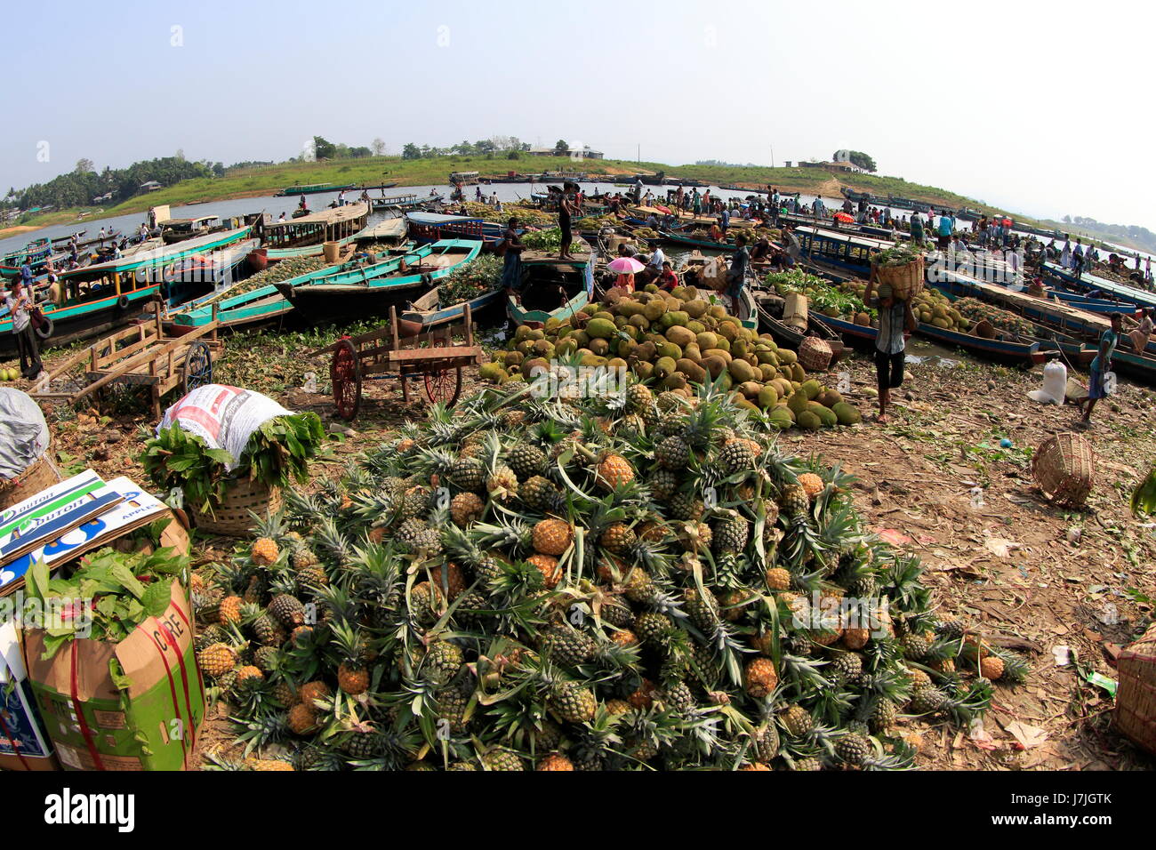 Floating market of pineapple and jackfruit at Bonorupa Bazar. Rangamati, Chittagong, Bangladesh. Stock Photo